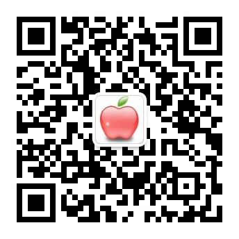 bet九州介绍